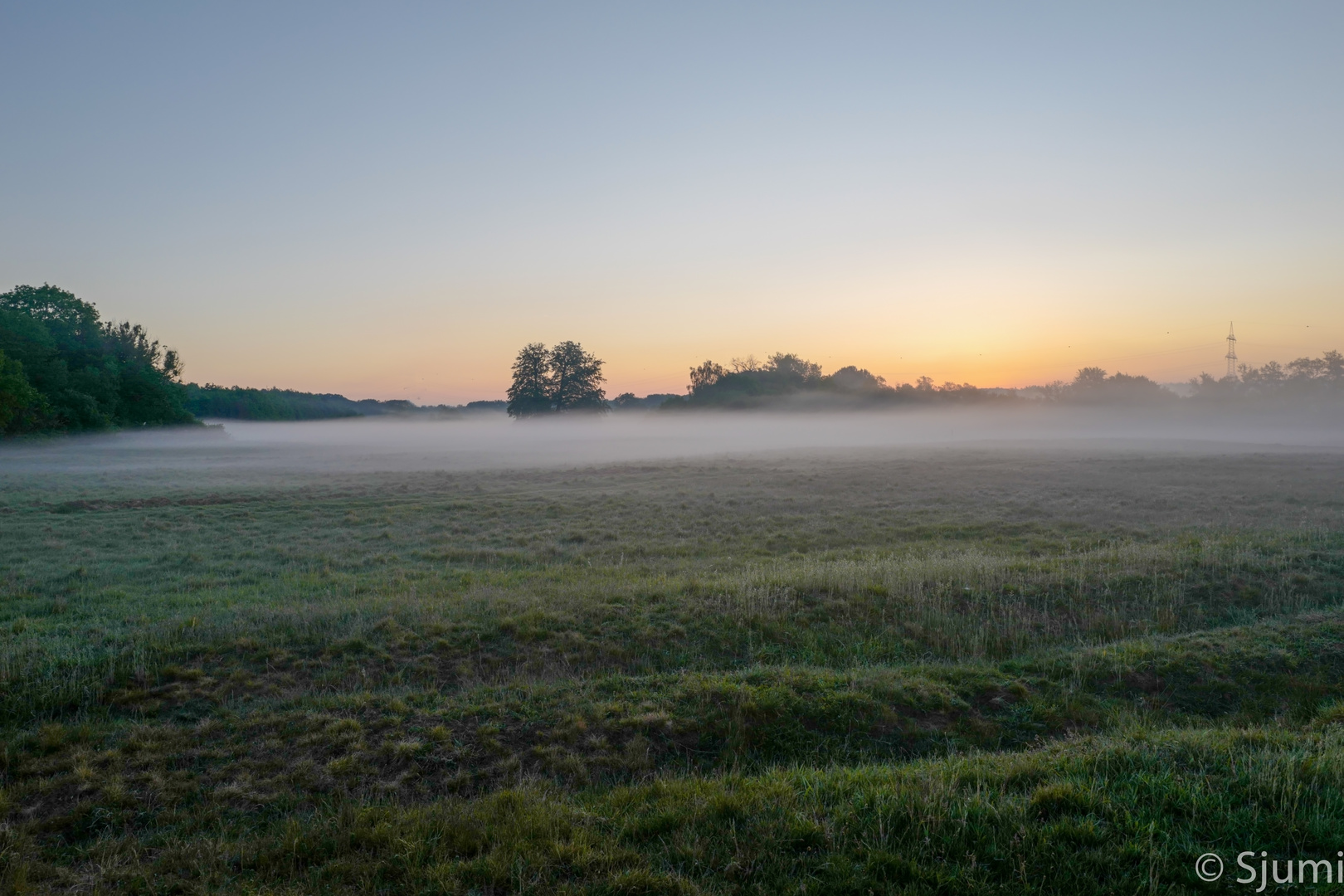 Nebel am Morgen