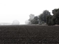 ... nebel am morgen