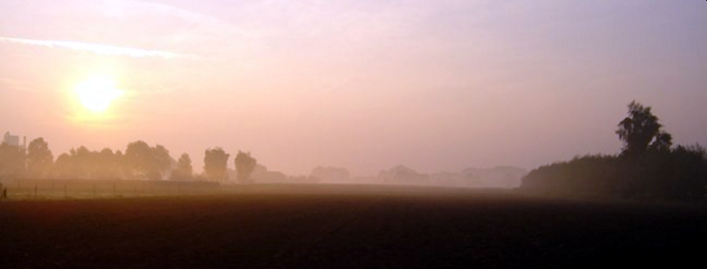 Nebel am Morgen