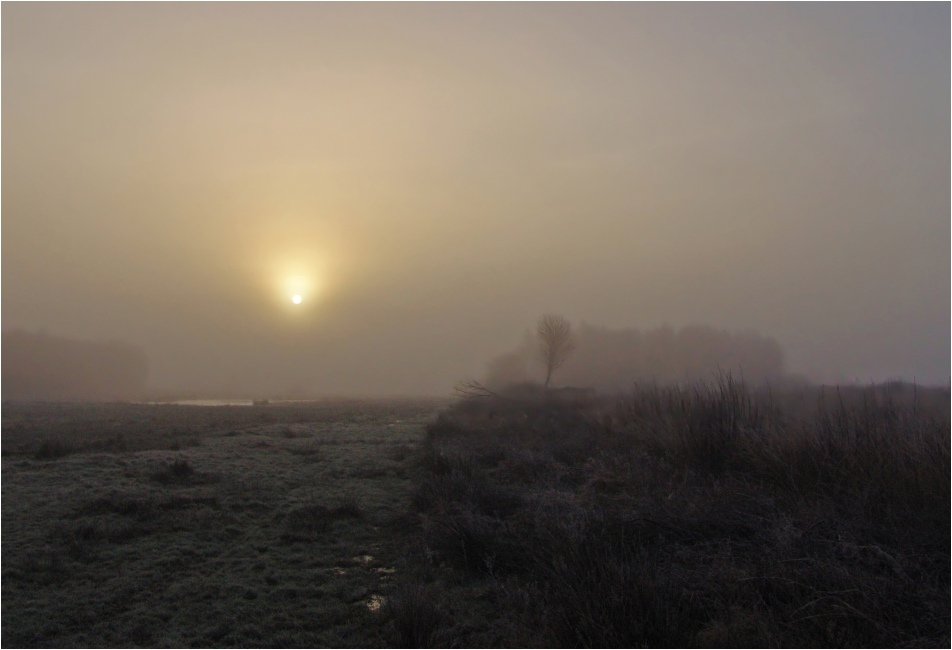 Nebel am Morgen