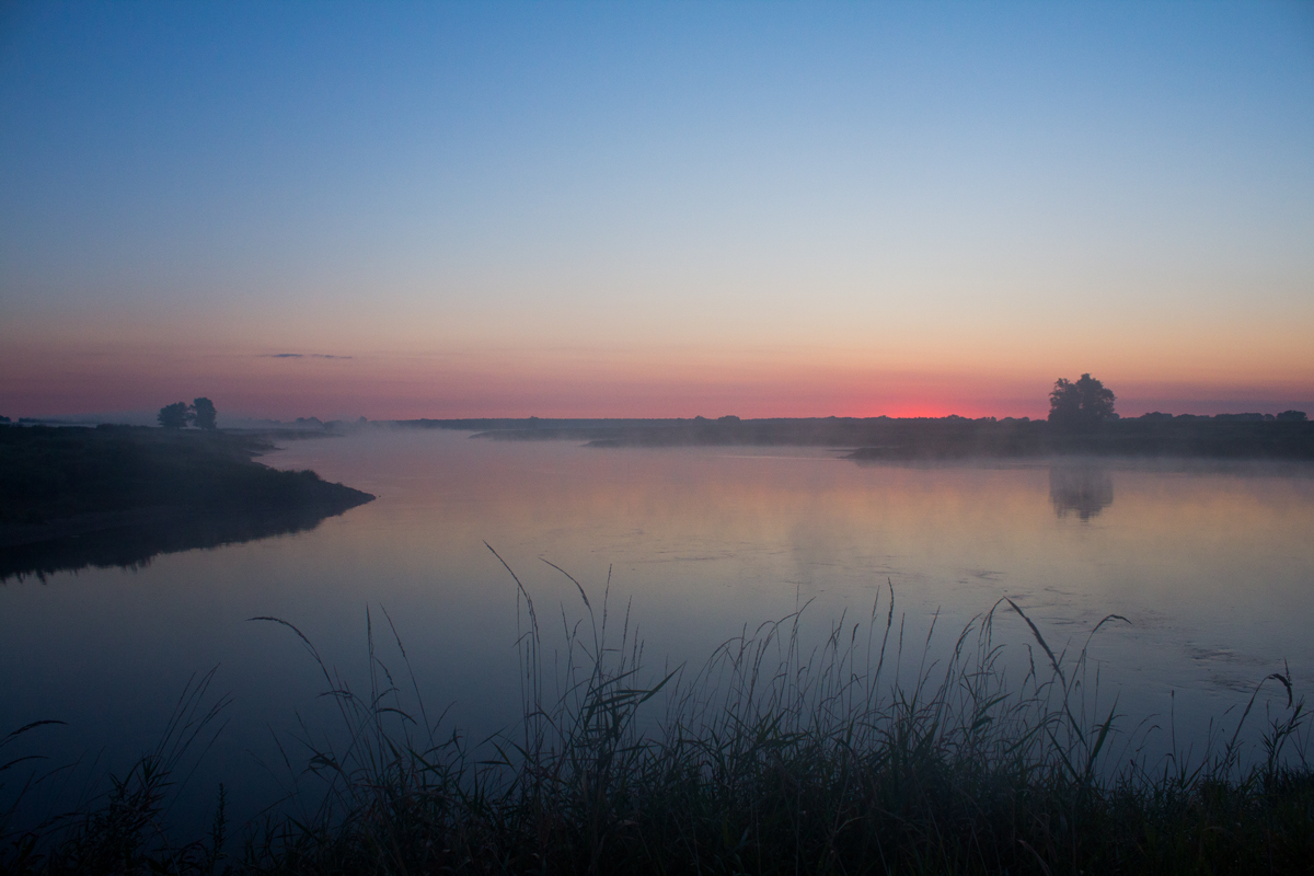 Nebel am Morgen