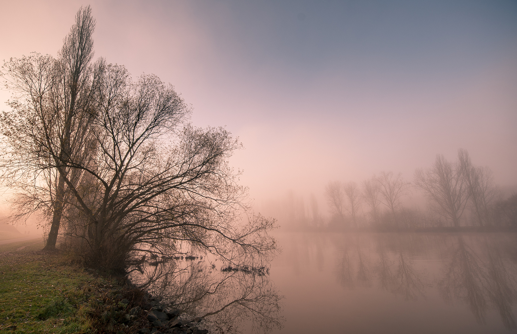 Nebel am Morgen