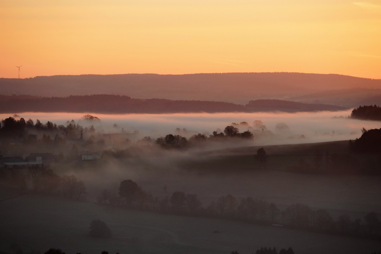 Nebel am Morgen