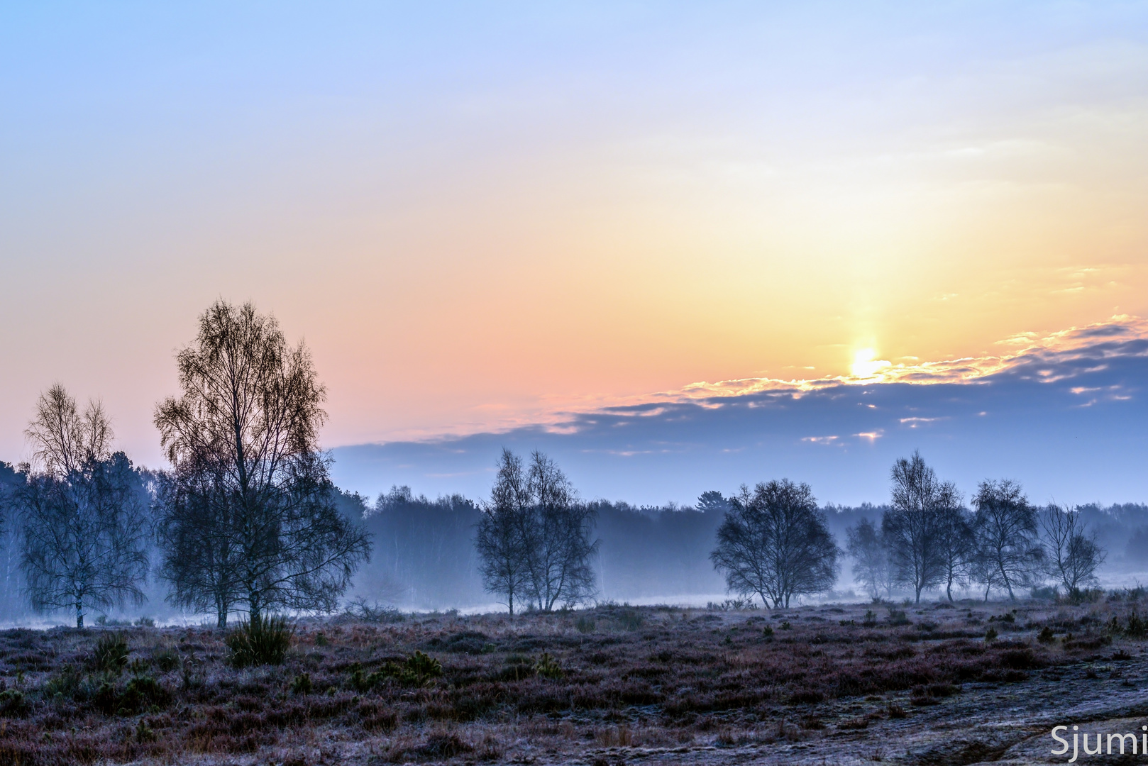 Nebel am Morgen 