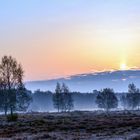 Nebel am Morgen 