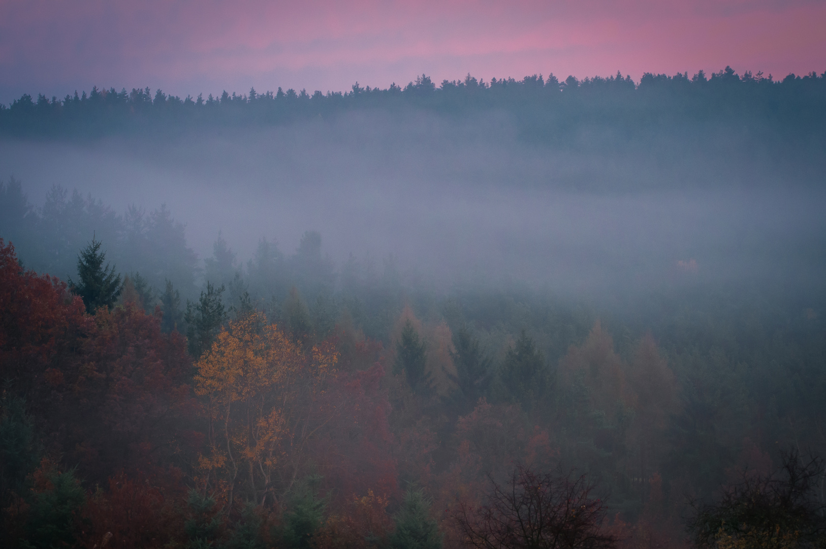 Nebel am Morgen