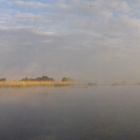 Nebel am Morgen auf der Oder