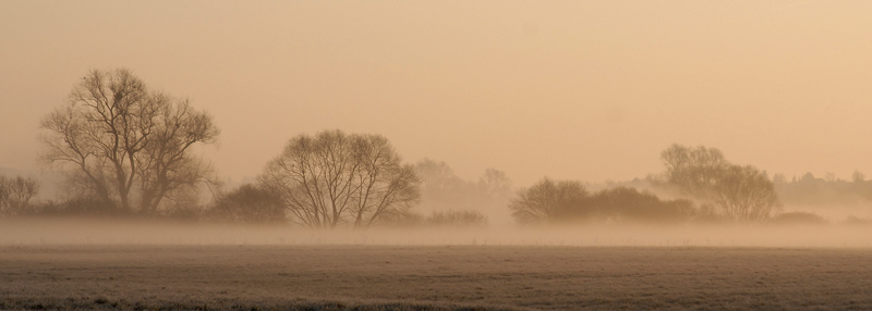 Nebel am Morgen