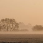 Nebel am Morgen