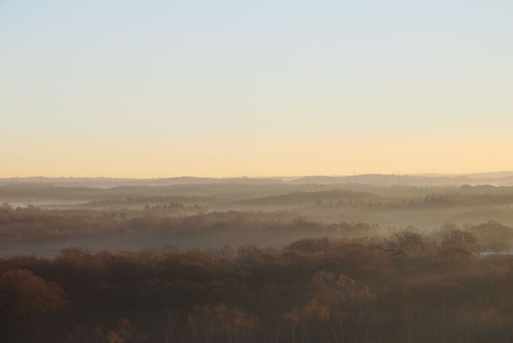 Nebel am Morgen