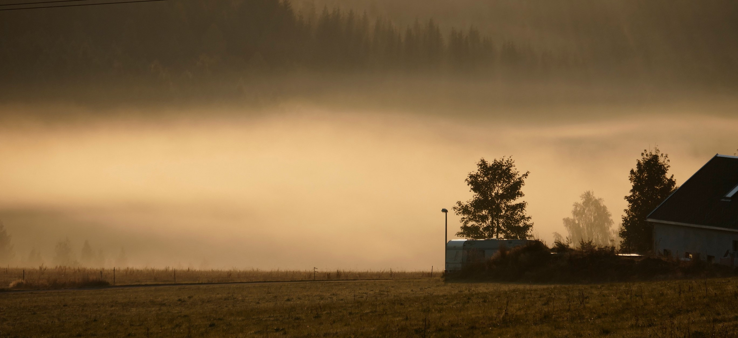 Nebel am Morgen