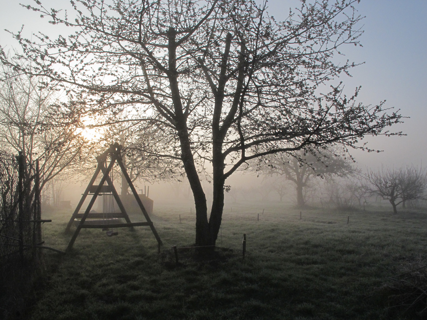 Nebel am Morgen