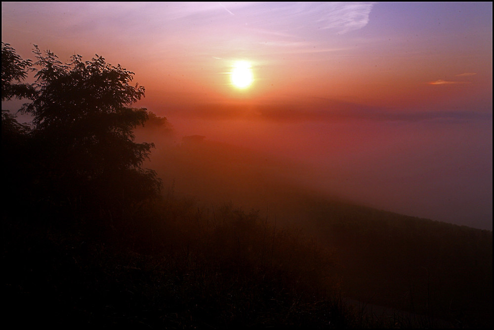 Nebel am Morgen