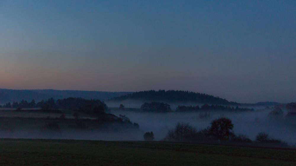 Nebel am Morgen