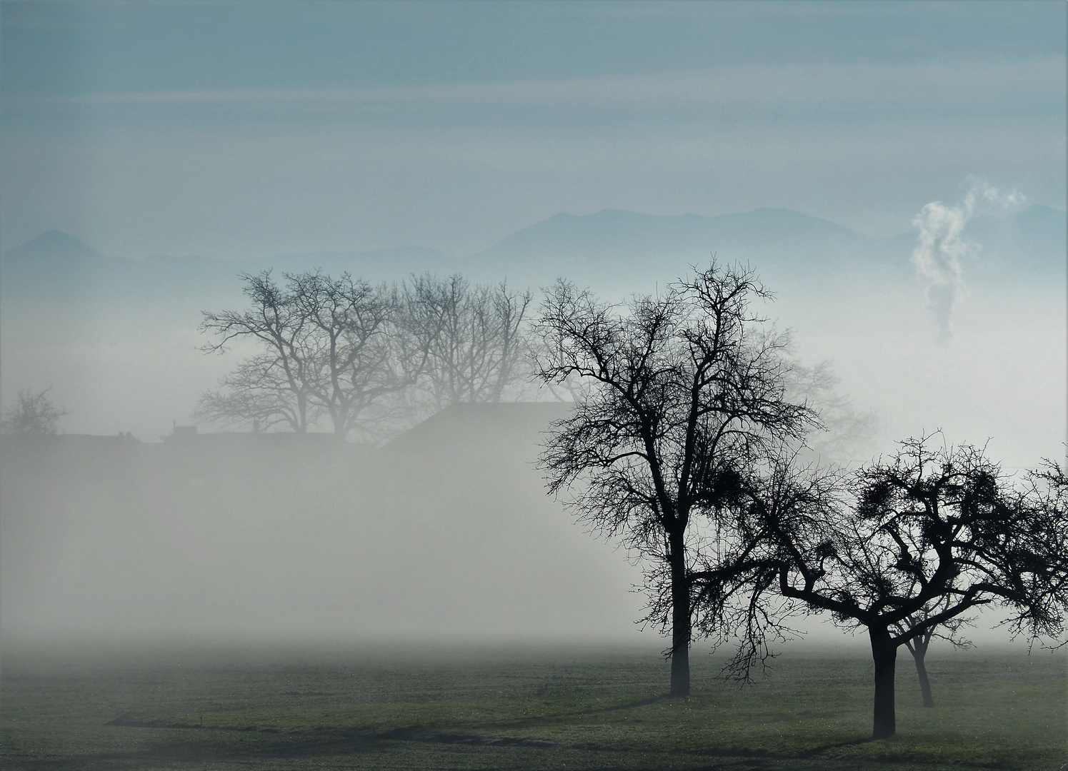 Nebel am Morgen