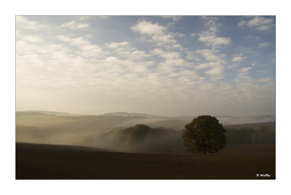 [ Nebel am Morgen ]