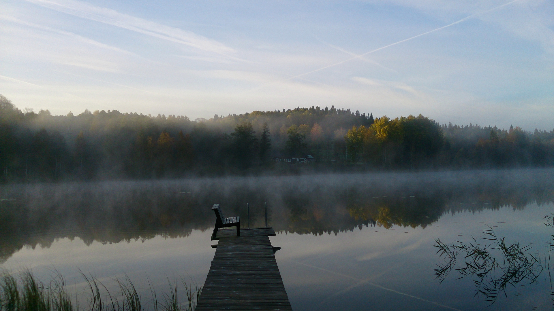 Nebel am Morgen