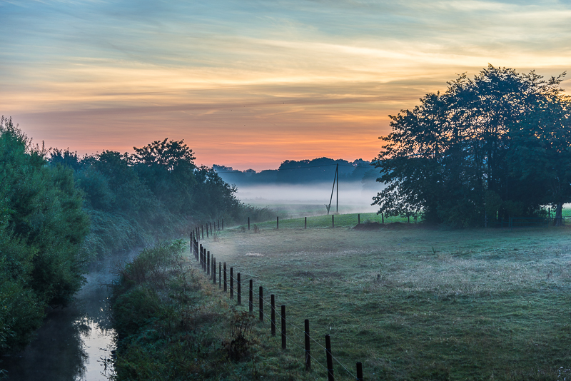 Nebel am Morgen