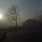 Nebel am Morgen - die zweite ! -