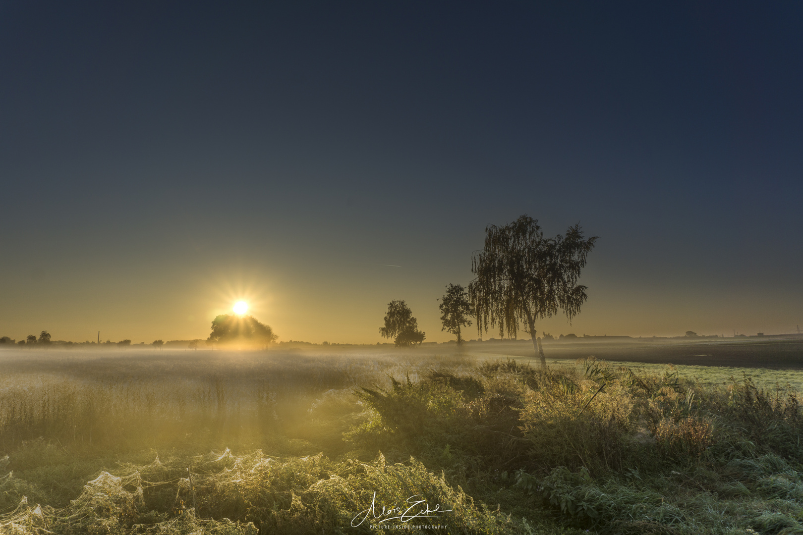 Nebel am Morgen