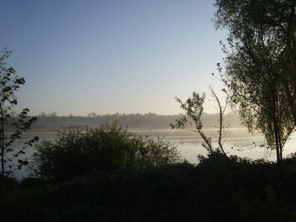 Nebel am Morgen