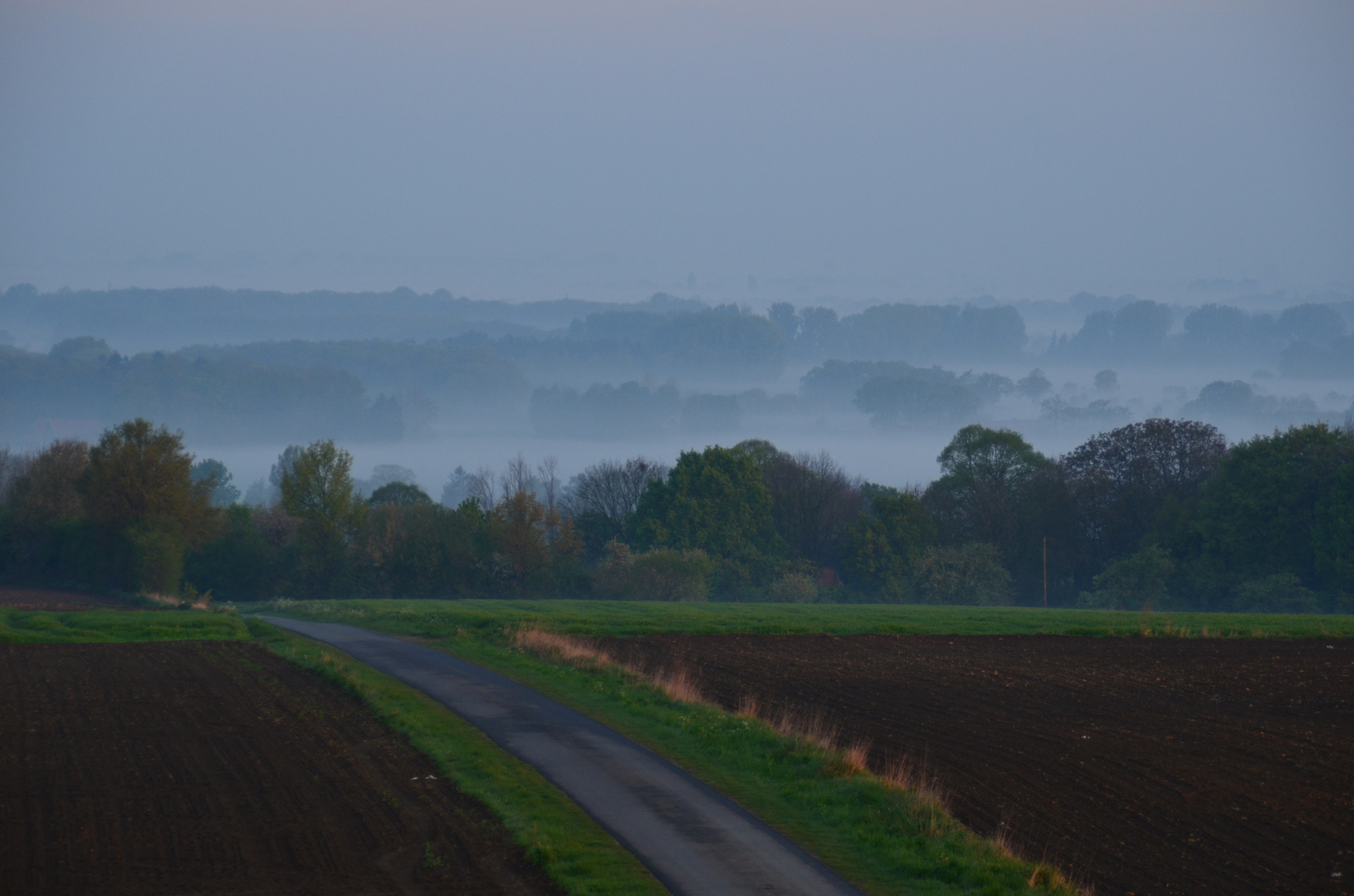 Nebel am Morgen