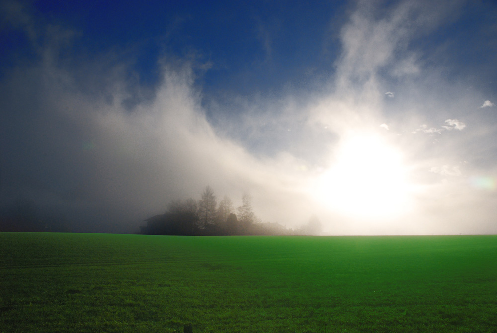 Nebel am Morgen - im Kopf und auf dem Lande