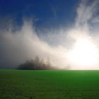 Nebel am Morgen - im Kopf und auf dem Lande