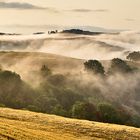 Nebel am Morgen in der Toskana