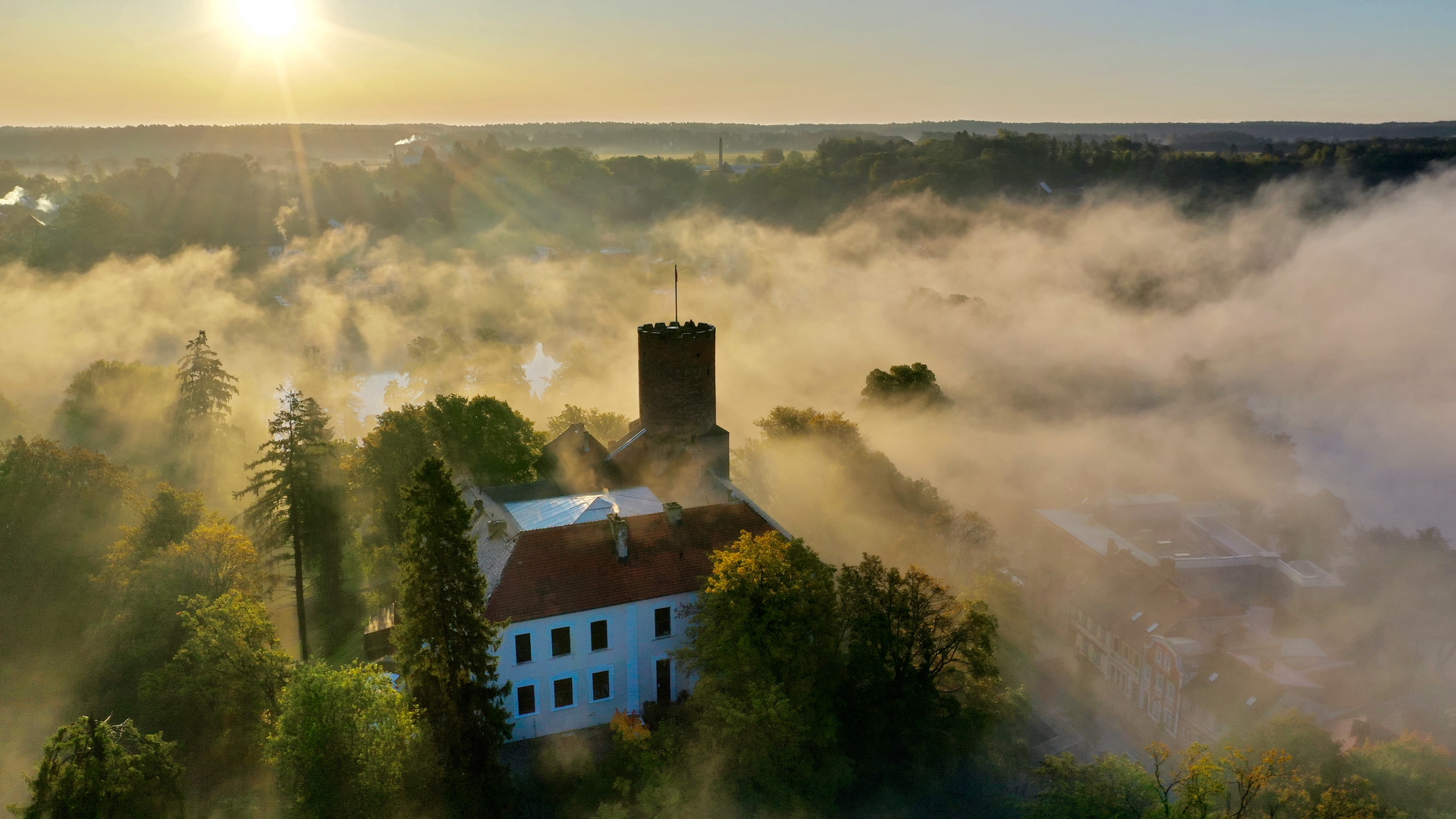 Nebel am Morgen in Polen