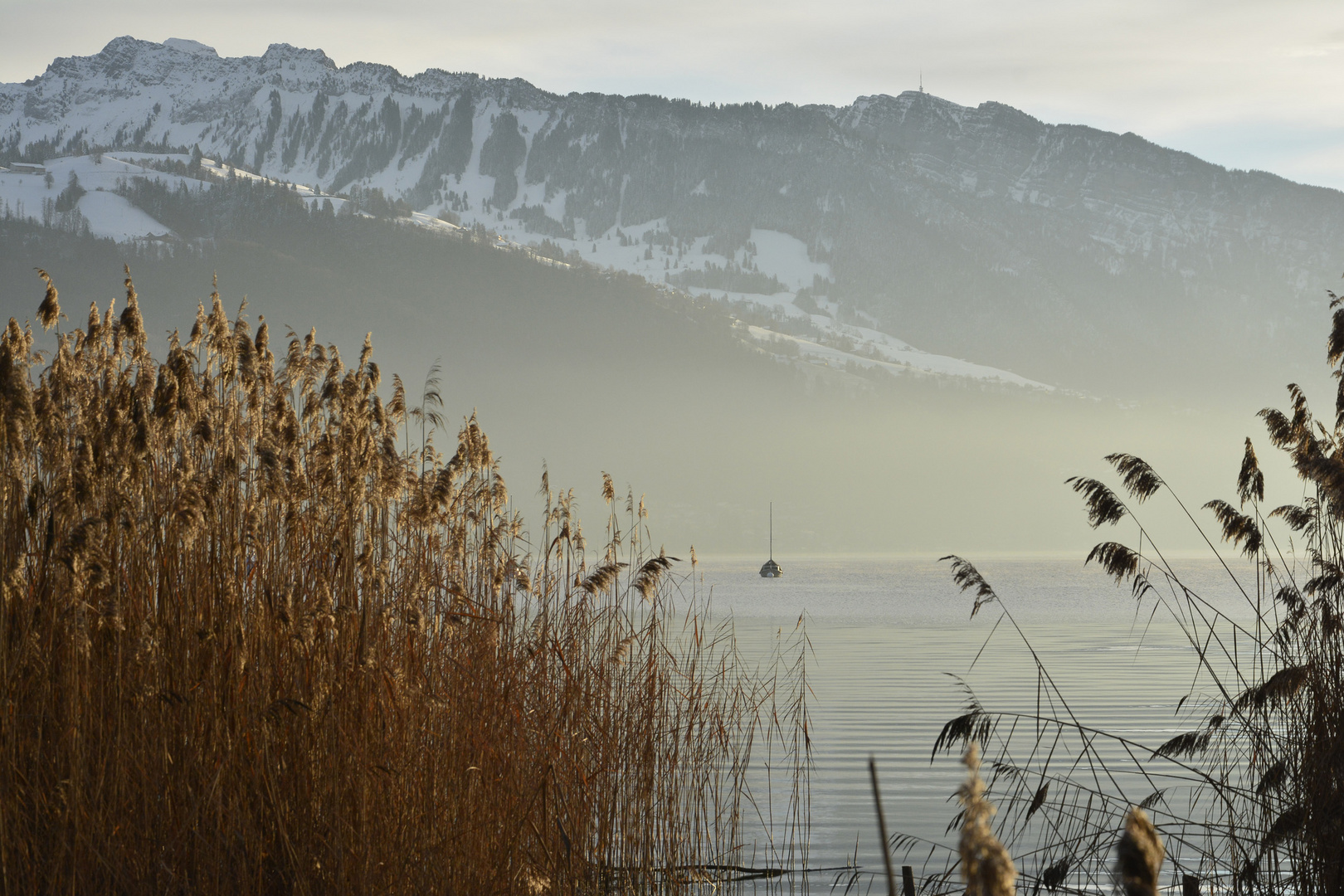 Nebel am Morgen über den Thuner See