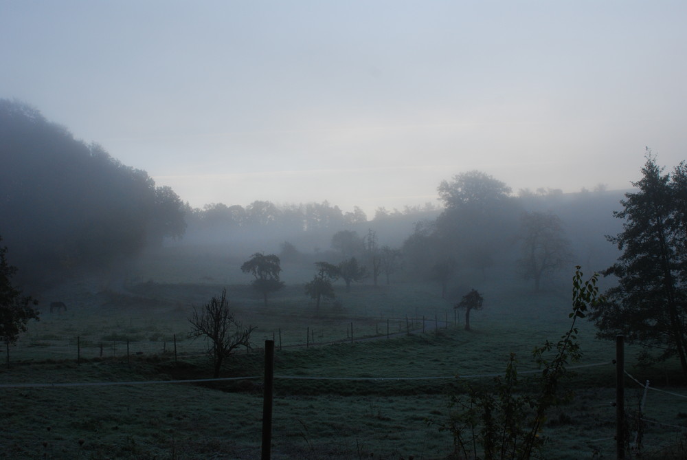 Nebel am Morgen vertreibt .....