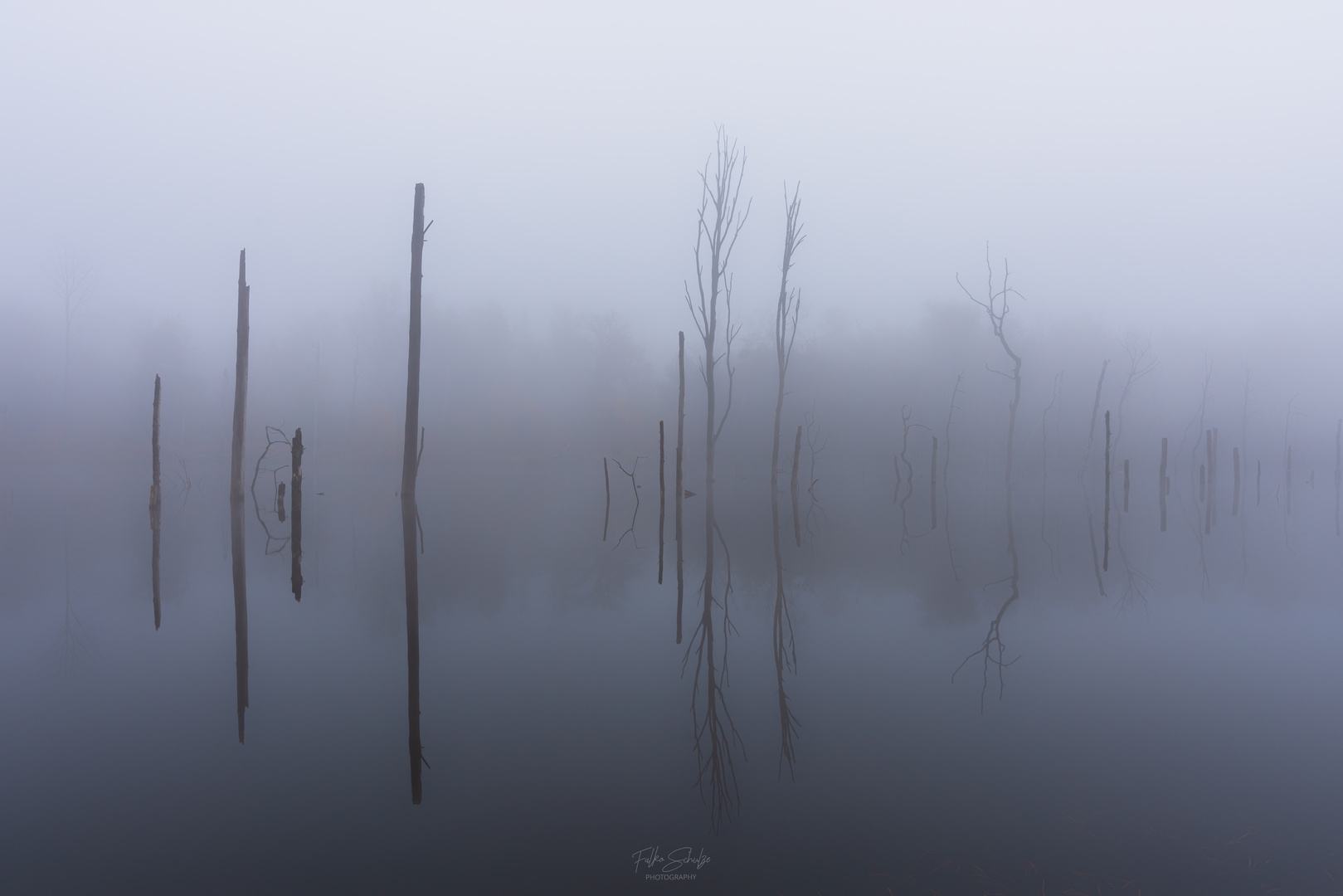 Nebel am Morgen vertreibt Kummer und Sorgen. 