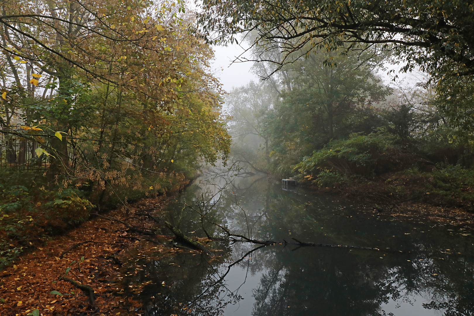 Nebel am Mühlengraben