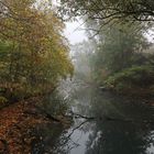 Nebel am Mühlengraben