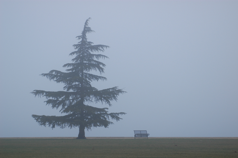 Nebel am Murtensee (CH)