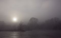 Nebel am Neckar