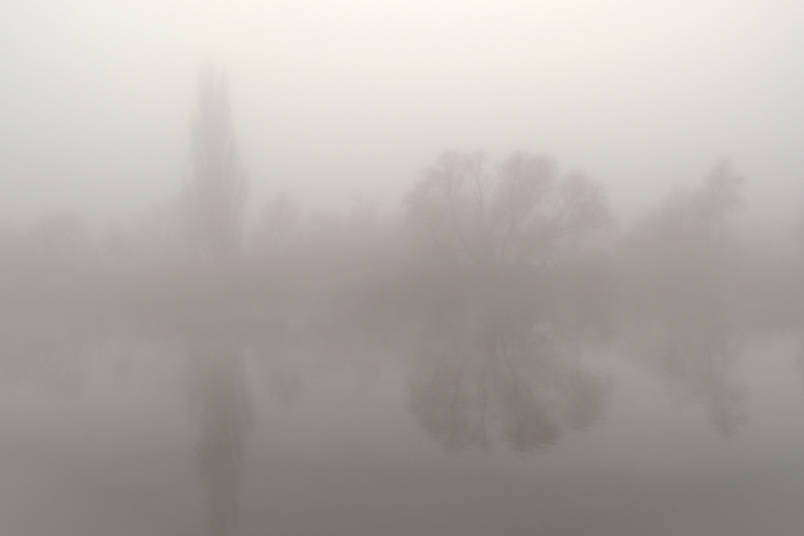 Nebel am Neckar