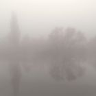 Nebel am Neckar