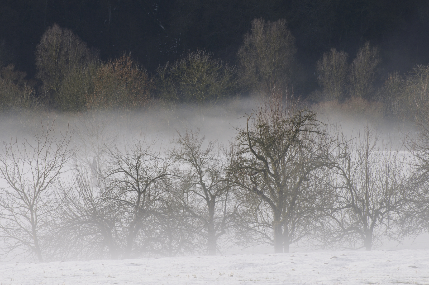 Nebel am Neckar