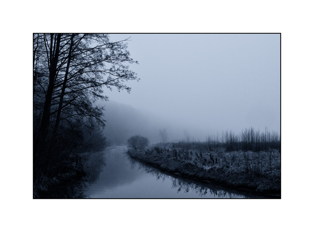 Nebel am Niederrhein