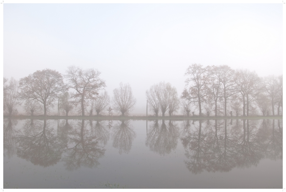 nebel am niederrhein