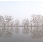 nebel am niederrhein