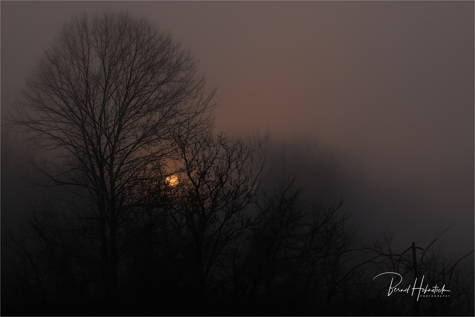 Nebel am Niederrhein  ... an einem besonderen Tag ....