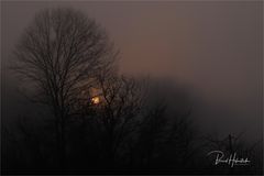 Nebel am Niederrhein  ... an einem besonderen Tag ....