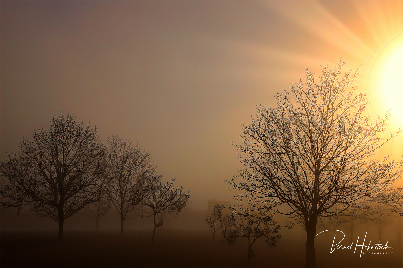 Nebel am Niederrhein ....