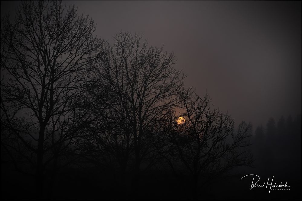 Nebel am Niederrhein -----