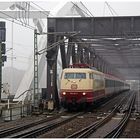 Nebel am Oberrhein