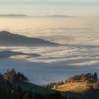 Nebel am Oberrhein