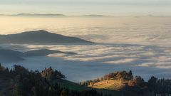 Nebel am Oberrhein